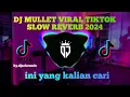 Download Lagu DJ MULLET VIRAL TIKTOK SLOW REVERB INI YANG KALIAN CARI 2024@bydjarisremix