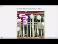 AI-Powered Egg Packing Total Counting System using Computer Vision