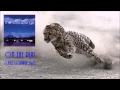Lagu Paul Hardcastle - On the Run - chill lounge mix [Chill Lounge Vol 3]