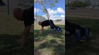                     دندنها