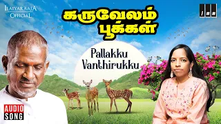 pallakku vanthirukku song karuvelam pookkal ilaiyaraaja bhavatharini nasser radhika