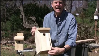 How to Build Blue Bird House
