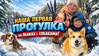 На лыжах с собаками и шестилеткой