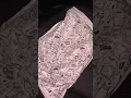 WARK ONE Designs Pablo Escobar T Shirt Unboxing
