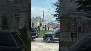 المافيا التركية  المافيا التركية