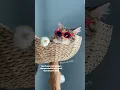 Download Lagu Better start charging rent #mikathefluffy #shorts #cat