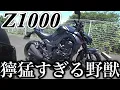 Download Lagu Kawasaki Z1000 剥き出しの141psを常に体感出来る国産大型ストファイの走りは超過激な野獣そのものだった【GSX-S1000.XSR900と比較.高速道路.街乗りインプレ】