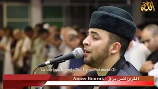 تلاوه جميله انس براق سوره الملك والقلم وجزء عم كامل 