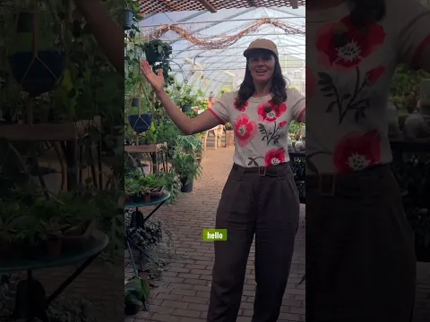 I FINALLY Visited the PLANT SHOP Everyone Told Me About!