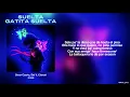 Letra // $UELTA GATITA $UELTA- Omar Courtz, Dei V, Clarent | POR SI MAÑANA NO ESTOY