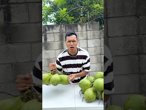 VAYA LOS COCOS #comedia