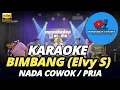 Download Lagu BIMBANG KARAOKE NADA PRIA/COWOK DANGDUT KOPLO