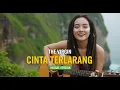 Lagu THE VIRGIN - CINTA TERLARANG | COVER REGGAE BY JMT MUSIC