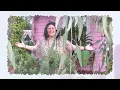 Download Lagu NICOLETTE FORTE // A LITTLE PIECE (MUSIC VIDEO)