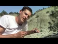 How We Identify Fossils