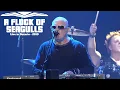 Download Lagu A Flock Of Seagulls - The More You Live The More You Love - Live in Ontario 2019 Video HD