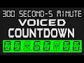 5 Minute Timer - 300 Seconds Countdown Voiced