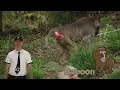 Blippi Visits some Crazy Zoo Animals | Kids Show | Fun Time | Creepy Crawlies