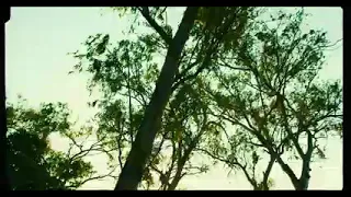 valter artistico feat madjems hini munandi official music video