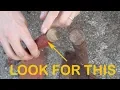 The Secret to Finding a Really Good Garden Hoe A Garden Hack