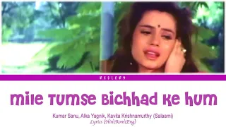 mile tum se bichhad ke hum alka yagnik kumar sanu kavita krishnamurthy salaami 1994 songs