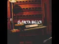 El Poeta Halley