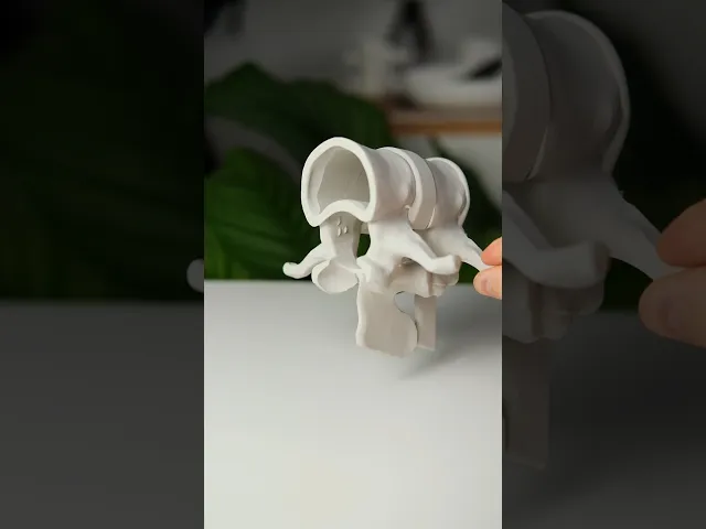 Vertebra - Pen Organizer video thumbnail