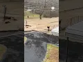 Life-threatening Flash Floods Hit South-Central U S