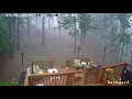 Trees Falling Compilation No Music