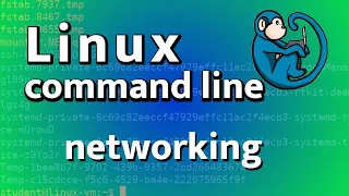 LCL 22 - basic networking