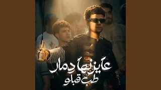 عايزنها دمار طب قبلو   انا لسه بقول سلامو عليكو   دندنها