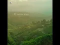Sabda Alam - Once Mekel