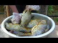 Discovering an Abandoned Fish Pond – Orphaned Young Man Truong An Earns Big Money