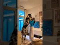 Download Lagu Real-Life Scooby-Doo?! | GREAT DANE 🐶 #dogcompilation