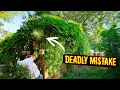Download Lagu This DEADLY MISTAKE Could Have KILLED Me while I was cleaning this Yard for FREE. 