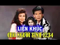 Lagu NHẠC LOSSLESS | LK CHO NGƯỜI TÌNH 1234 - SƠN TUYỀN, TUẤN VŨ, THIÊN TRANG | NHẠC HẢI NGOẠI HAY