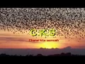 Download Lagu Raja pikat walet mp3, walet cepat masuk dan menginap. Suara yang dipake semua pengusaha walet..