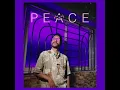 HARIS HAMZA - PEACE
