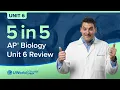AP Biology Unit 6 Speed Review Gene Expression and Regulation