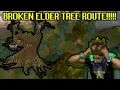 How To Get To Elder Trees RuneScape Tips and Tricks 171