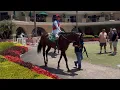 Collmus a 2 2 Million Purchase Makes His Long Postponed Career Debut for the Baffert Barn