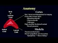 2025 UC San Diego Presents Post Graduate Radiology Course