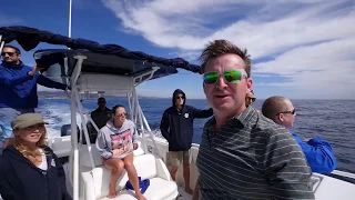 Chumming for Sharks – Humpback Whale Drone Footage – S2:E24