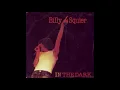 In The Dark Remastered - Billy Squier