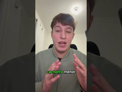 O Menor Tentou Escapar