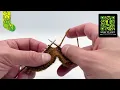 The Zorro SSK A New Approach to a Stitch You Already Know A Sockmatician Tutorial