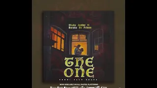 The One Ft BarakhaThePrince 