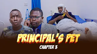 THE PRINCIPAL’s PET - The Craziest School Revenge Ever🤣🤣🤣( Chapter 3 )