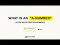 What is an Alien Registration Number A-number