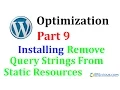 WordPress Optimization Part 9 Installing Remove Query Strings From Static Resources